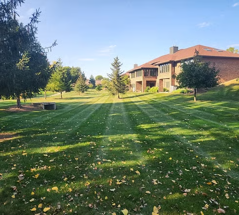 Lawn Care